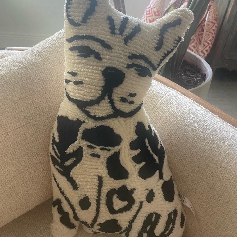 Urban outfitters Frenchie pillow